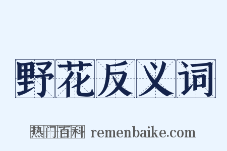 野花反义词是什么意思的图片